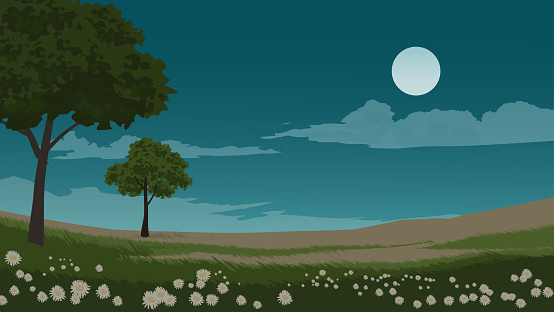Meadow landscape at night with full moon, clouds, stars, trees and flowers