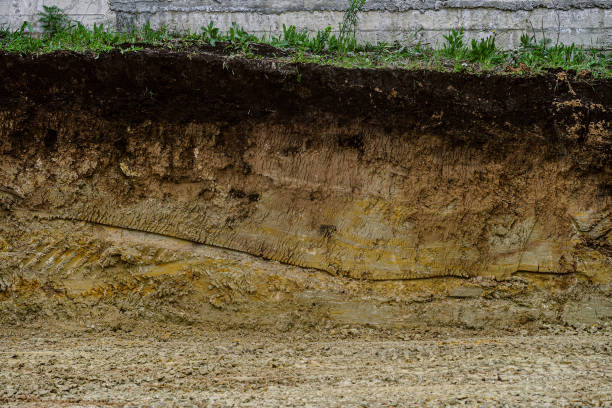 Cut of natural soil with different layaers. Grass, chernozem soil and clay ground wall after working excavator. stock photo