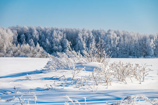 istock not frozen pond in winter 1376139139
