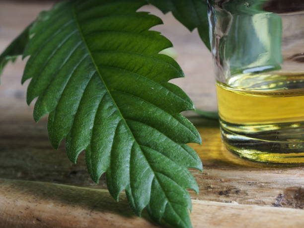 istock Medical marijuana cannabis weed cbd oil 1376147397