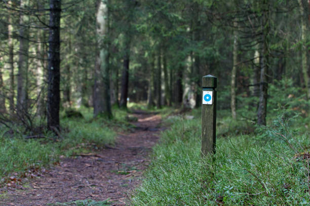 istock Tourist trail, path, track sign information in forest. Halmstad, Sweden 1376168187