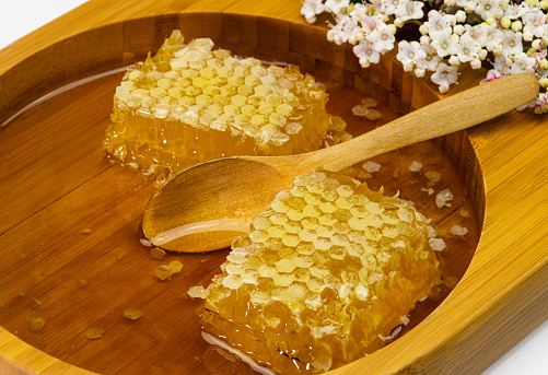 Honey with honeycomb and wooden spoon in wooden plate and white flowers on white background