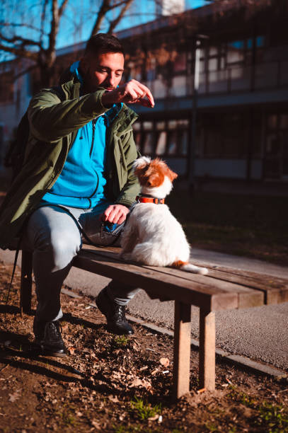 istock Jack Russel terrier puppy get trained by its owner 1376180637