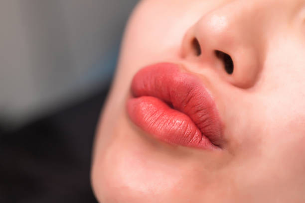 Perfect natural lip makeup beautiful female mouth. Makeup Lip matte lipstick. Sexy lips. Part of face, young woman. stock photo