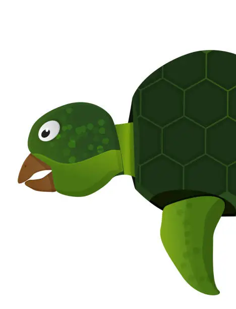 Vector illustration of gree sea turtle
