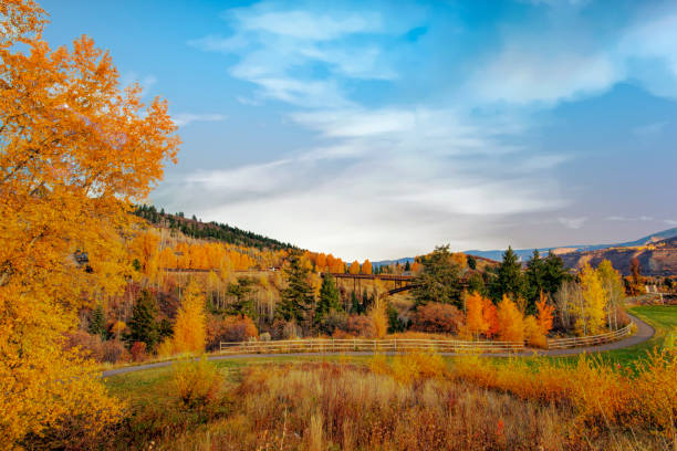 Beautiful Park with fall leaf color and bridge-Aspen, Colorado