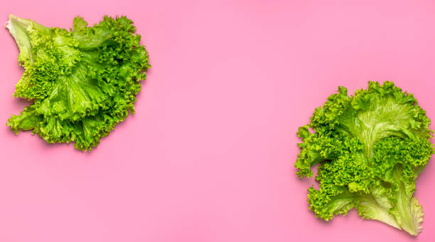 istock Fresh green lettuce leaves on bright pink background flat lay top view. Creative background with salad, healthy vegetarian food, eco products, vegetable, diet, vitamins. Food concept 1376226386