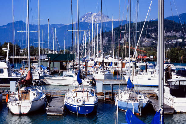 Sailboats, mountains, dock, ropes, floating logs