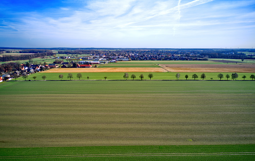 Aerial view of a flat landscape with fresh green farmland, a row of trees and a small town in front of the horizon