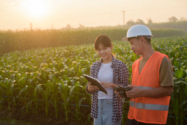 istock Male engineer  provide a consultation and instructing to smart farmer with drone spraying fertilizer and pesticide over farmland,High technology innovations and smart farming 1376252970