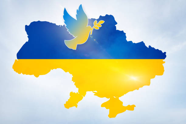 istock A dove as a sign of the will for peace 1376264694