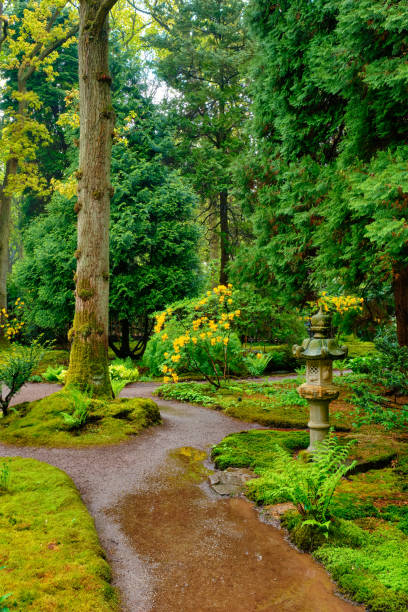 istock Japanese garden, Park Clingendael, The Hague, Netherlands 1376286471