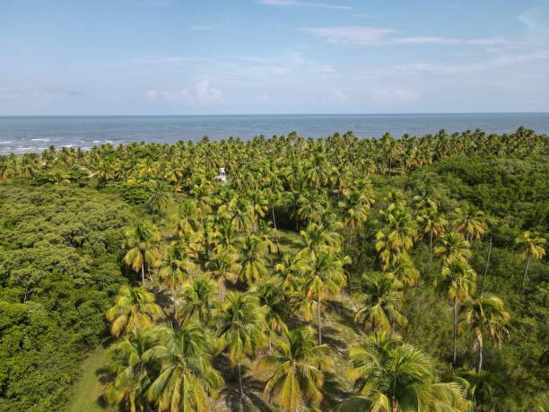 istock Landscape of beach 1376296445
