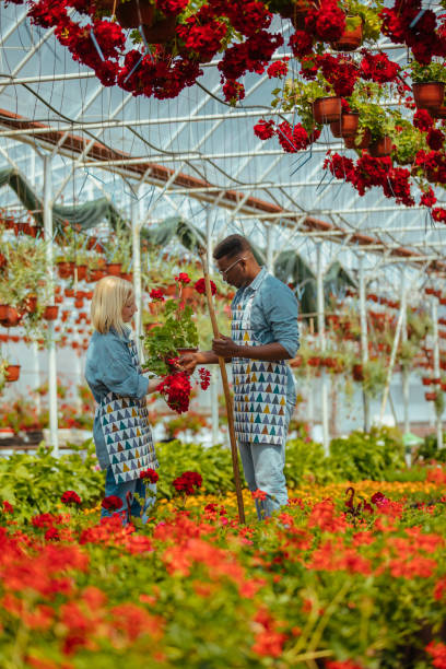 istock Greenhouse flower shop employees at work 1376318764