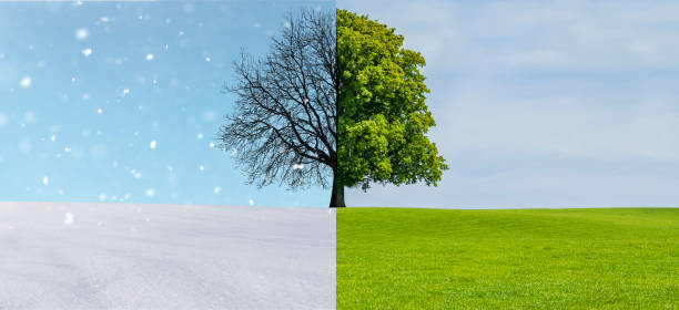 istock Alternating seasons from winter to spring 1376346229