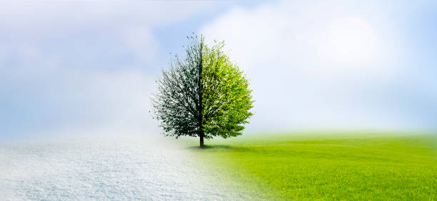 istock Change of season from winter to spring 1376346482