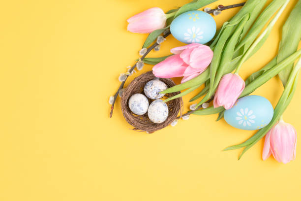 Nest with small eggs and pink tulips on a yellow colored background, easter holiday greeting card, spring season stock photo