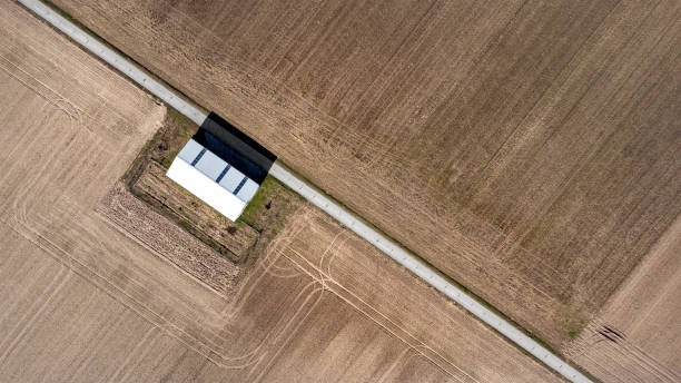 istock Aerial view of agricultural area - wheat and corn fields 1376355619