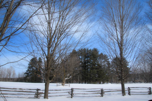 istock Canadian countryside winter landscape 1376368263