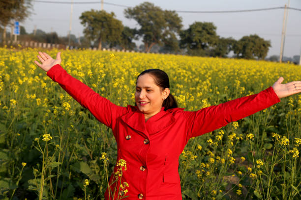 Beautiful view of mustard fields at India.