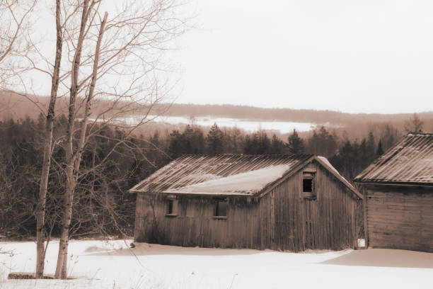 istock Old barn in a winter countryside landscape 1376379052