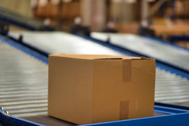 istock Cardboard boxes on conveyor belt at distribution warehouse 1376398885
