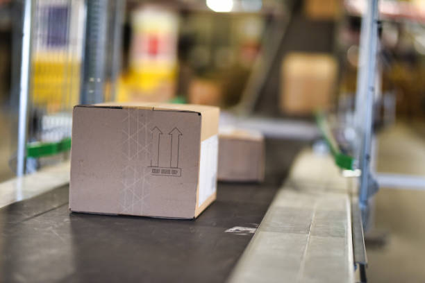 istock Cardboard boxes on conveyor belt at distribution warehouse 1376400804