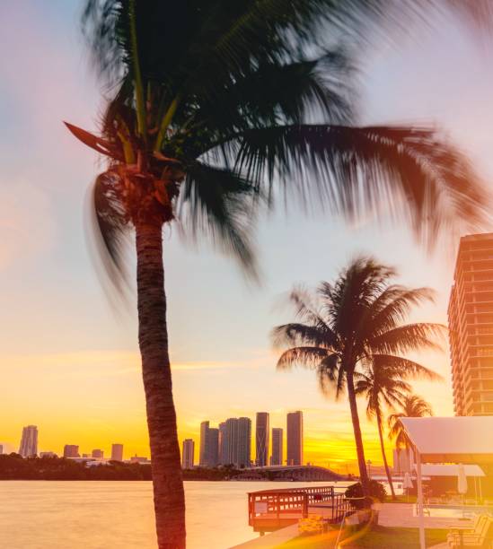 istock landscape skyline sunset miami usa florida 1376411128