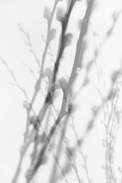 istock abstract background of flowers and plants, double multiple exposition 1376413174
