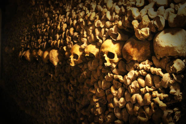 Catacombs A close up of a row of lined skulls and bones. burial mound photos stock pictures, royalty-free photos & images