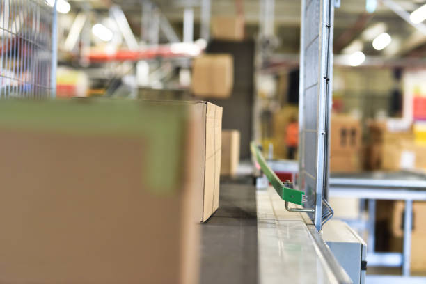 istock Cardboard boxes on conveyor belt at distribution warehouse 1376445298