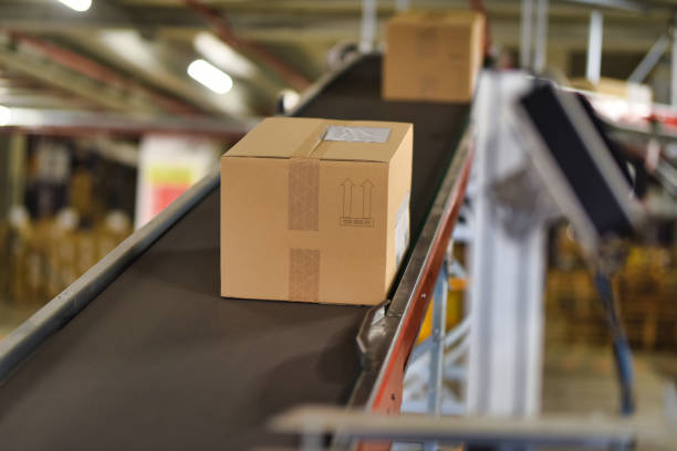 istock Cardboard boxes on conveyor belt at distribution warehouse 1376450055