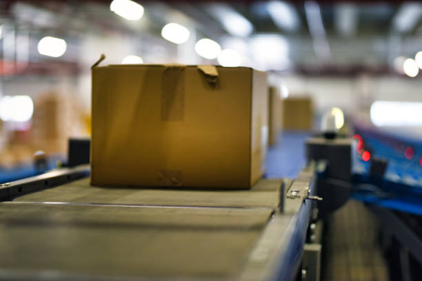 istock Cardboard boxes on conveyor belt at distribution warehouse 1376457529