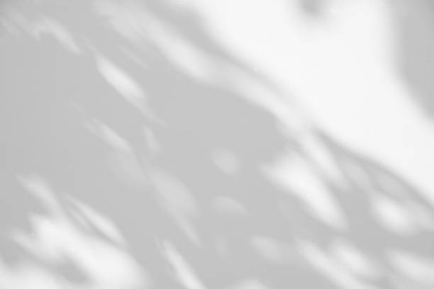 istock Light and shadow natural leaves overlay on white concrete background.Silhouette abstract tropical leaf natural pattern for wallpaper,spring,summer texture. Black and white blurred image backdrop. 1376459629