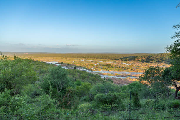 Olifants river - South Africa View of the Olifants river in the Kruger National park.  The view is from the Olifants rest camp in the park. bushveld photos stock pictures, royalty-free photos & images