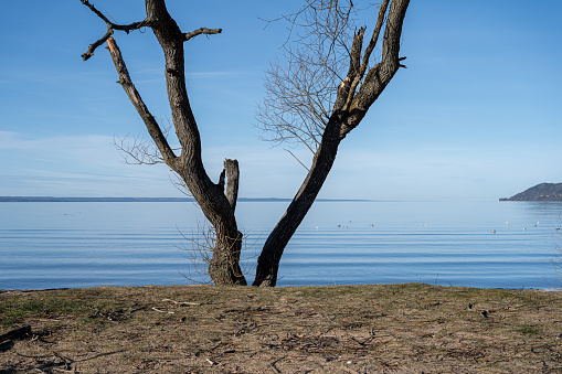 A beautiful misty blue lake view in the morning