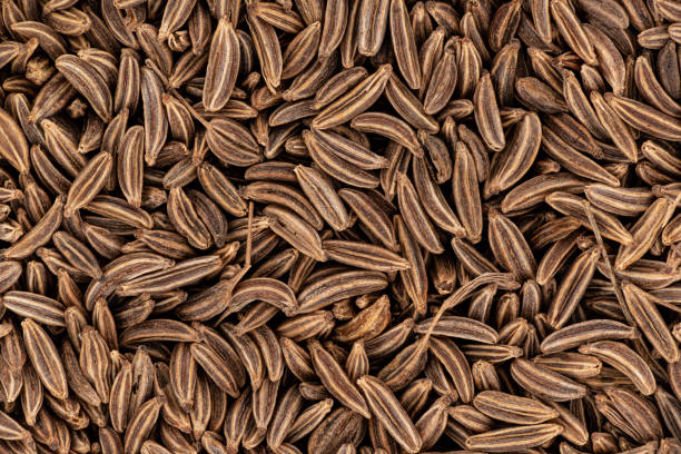 Closeup detail of caraway seeds - meridian fennel - Carum carvi shot from above, image width 23mm Closeup detail of caraway seeds - meridian fennel - Carum carvi shot from above, image width 23mm. carum carvi stock pictures, royalty-free photos & images