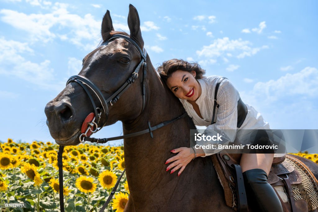 Cheerful brunette horseback riding. She is wearing traditional white dress and long black boots. Rural scene. Sunny day. Sunflower field in background. Beautiful brunette riding brown horse. She is smiling at camera. Woman is wearing red lipstick, long black boots and white dress. Sunny day. Sunflower field in background. Ranch Stock Photo