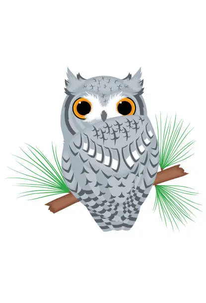 Vector illustration of Screech owl