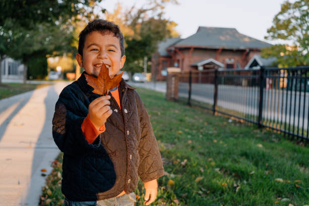 Latin boy holding a maple leaf during autumn stock photo