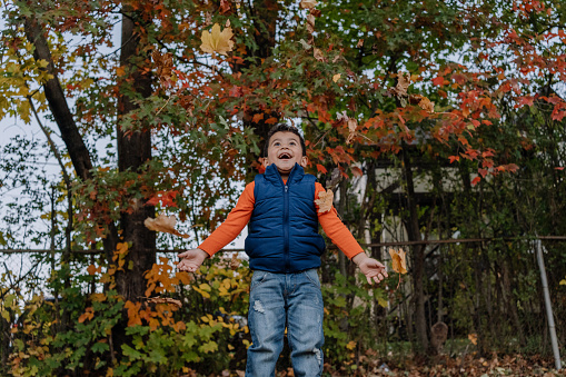Latin boy playing with maple leafs outdoors during autumn