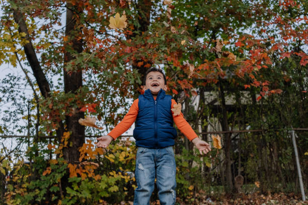 Latin boy playing with maple leafs outdoors during autumn stock photo