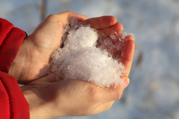 istock Fluffy white snow in women's heart-shaped palms 1376553209