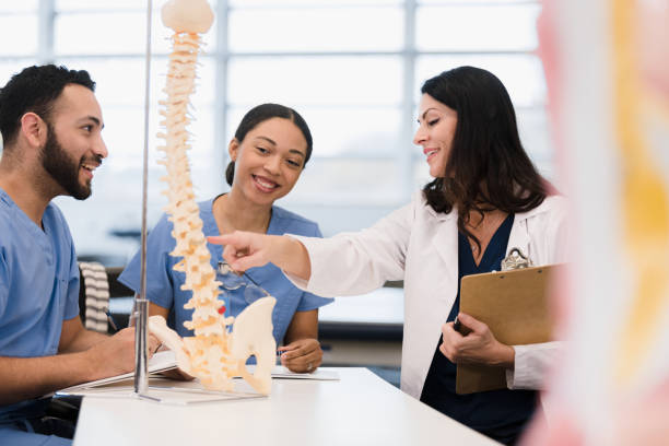 istock Professor spends time teaching two students about vertebrae 1376575386