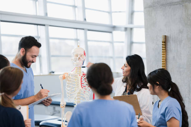 istock Diverse group of interns attends lecture on human skeletal system 1376575388