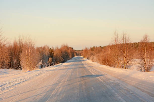 istock Frozen road in Karelia and majestic winter forest 1376609438