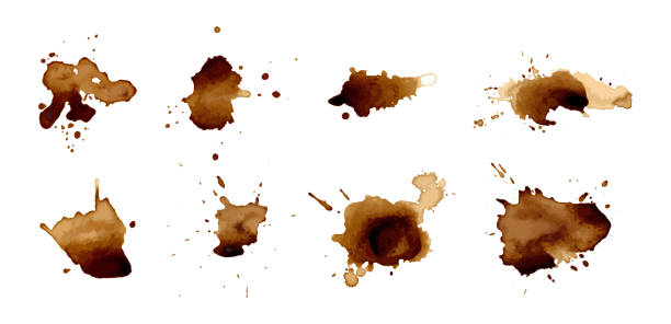 kaffeeflecken auf weißem hintergrund. vektor eps 10 - coffee stain stock-grafiken, -clipart, -cartoons und -symbole