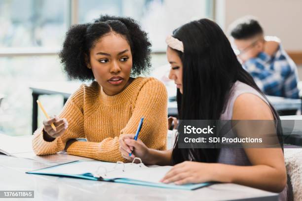 Teen Girls Brainstorm For Class Assignment Stock Photo - Download Image Now - Teenagers Only, Discussion, Classroom