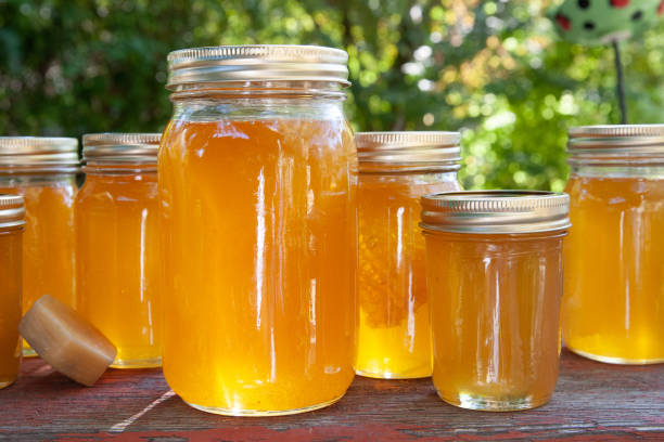Glass mason jars filled with golden honey, lined up on an old wood bench, backlit by the sunlight. Largest jar in the front stock photo