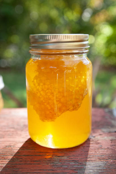 Closeup of a single glass jar of honey with raw honeycomb floating inside. Honey is backlit by the warm sunshine stock photo